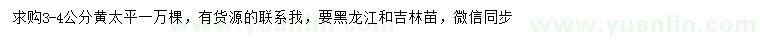 求購3-4公分黃太平
