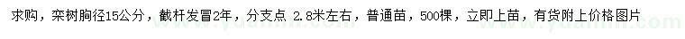 求購胸徑15公分欒樹