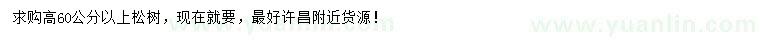 求購高60公分以上松樹