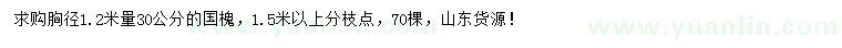 求購(gòu)胸徑1.2米量30公分國(guó)槐