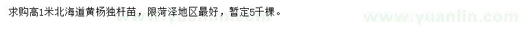 求購(gòu)高1米北海道黃楊
