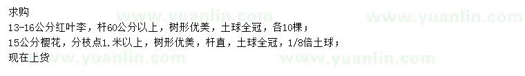 求購13-16公分紅葉李、15公分櫻花