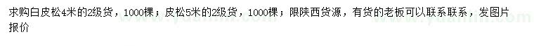 求購(gòu)4、5米白皮松