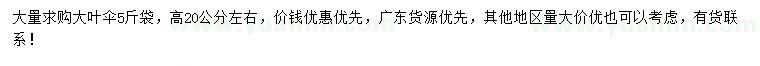 求購高度20公分左右大葉傘
