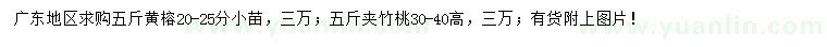 求購高20-25分黃榕、30-40公分夾竹桃