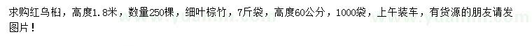 求購(gòu)高60公分細(xì)葉棕竹、1.8米紅烏桕