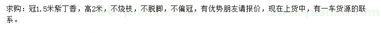 求購冠1.5米紫丁香