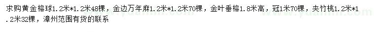 求購黃金榕球、金邊萬年麻、金葉垂榕等