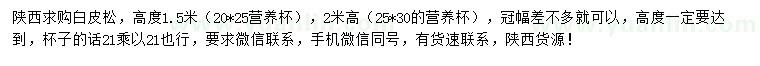 求購高1.5、2米白皮松