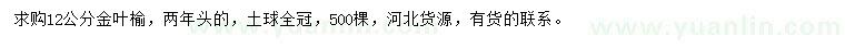 求購12公分金葉榆