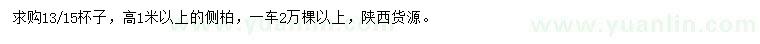 求購高1米以上側柏