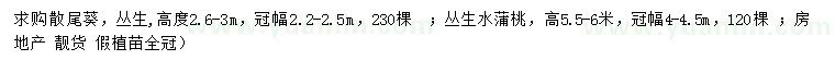 求購高2.6-3米散尾葵、高5.5-6米水蒲桃