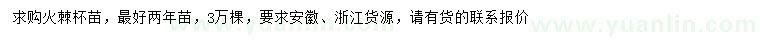 求購火棘杯苗