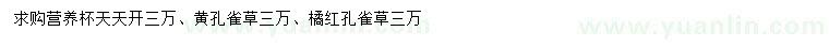 求購(gòu)天天開、黃孔雀草、橘紅孔雀草