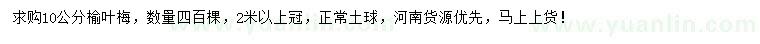求購10公分榆葉梅