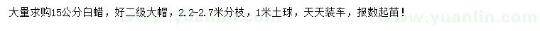 求購15公分白蠟