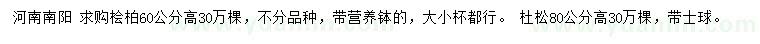 求購高60公分檜柏、80公分杜松