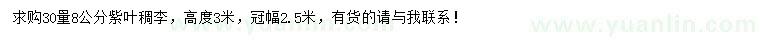 求購30量8公分紫葉稠李