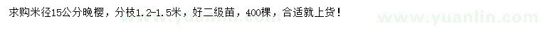 求購米徑15公分晚櫻