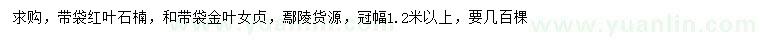 求購冠幅1.2米以上紅葉石楠、金葉女貞