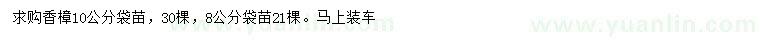 求購8、10公分香樟