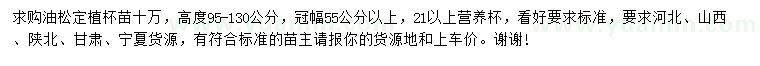 求購高95-130公分油松