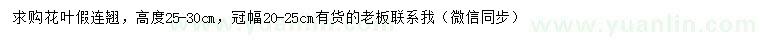 求購高25-30公分花葉假連翹