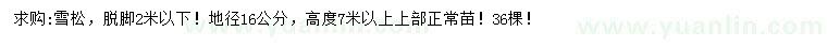 求購(gòu)高度7米以上雪松
