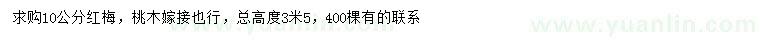 求購(gòu)10公分紅梅