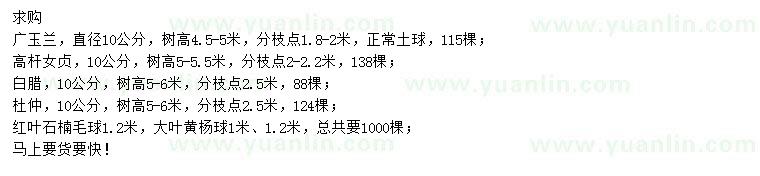 求購廣玉蘭、高桿女貞、白蠟等