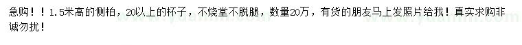 求購高1.5米側柏