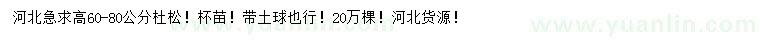 求購(gòu)高60-80公分杜松