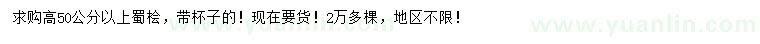 求購高50公分以上蜀檜
