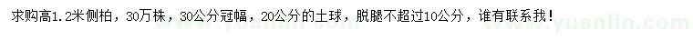 求購高1.2米側(cè)柏