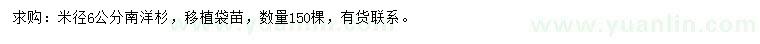 求購(gòu)米徑6公分南洋杉