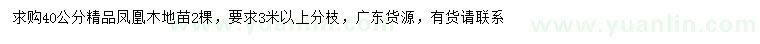 求購40公分鳳凰木
