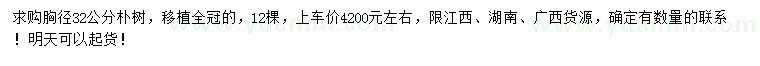 求購(gòu)胸徑32公分樸樹(shù)