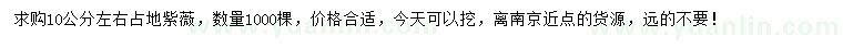 求購(gòu)10公分左右紫薇