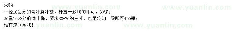 求購米徑16公分青葉復(fù)葉槭、20量10公分榆葉梅