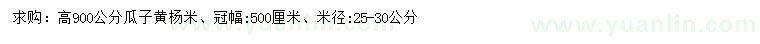 求購(gòu)高900公分瓜子黃楊