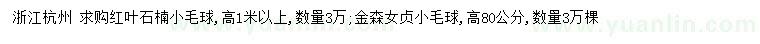 求購高1米以上紅葉石楠