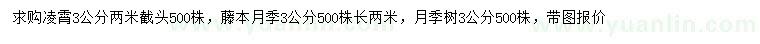 求購凌霄、藤本月季、月季樹