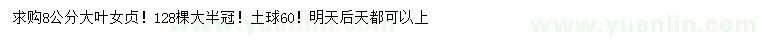 求購8公分大葉女貞