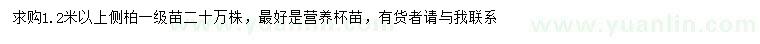 求購(gòu)1.2米以上側(cè)柏
