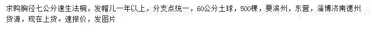 求購(gòu)胸徑7公分速生法桐