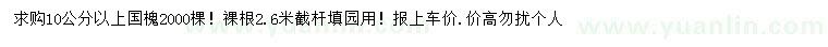 求購10公分以上國槐