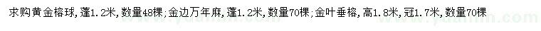 求購黃金榕球、金邊萬年麻、金葉垂榕