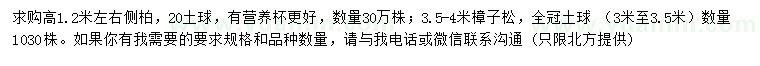 求購(gòu)高1.2米左右側(cè)柏、3.5-4米樟子松