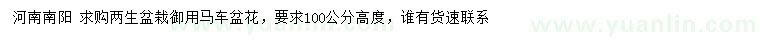 求購(gòu)高100公分御用馬車