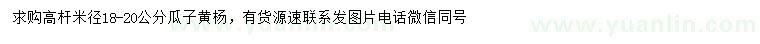 求購米徑18-20公分瓜子黃楊